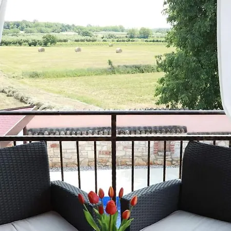 Luna With Pool Holiday home Porec